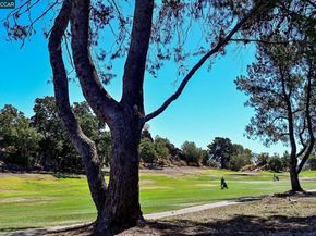 1411 Marchbanks Dr 2, Walnut Creek CA 94598