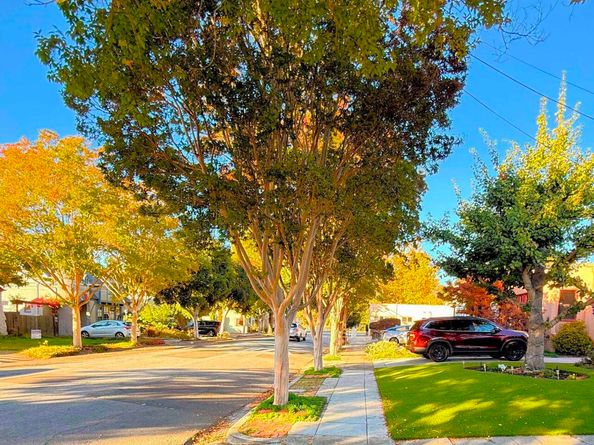 653 Macarthur Blvd, San Leandro CA 94577