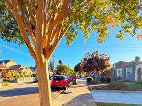 653 Macarthur Blvd, San Leandro CA 94577