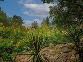 1281 Avenida Sevilla 2A, Walnut Creek CA 94595