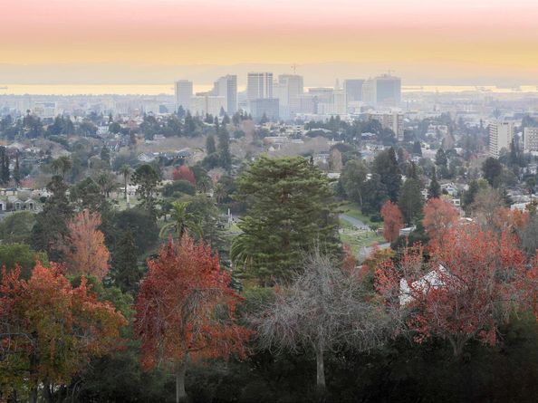 288 Whitmore St 217, Oakland CA 94611