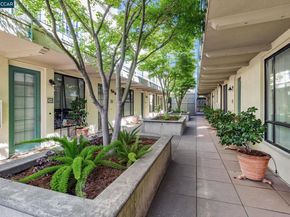 4395 Piedmont Ave P208, Oakland CA 94611