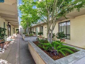 4395 Piedmont Ave P208, Oakland CA 94611