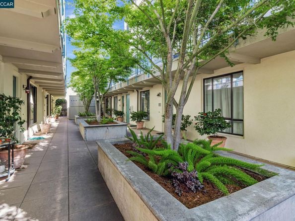 4395 Piedmont Ave P208, Oakland CA 94611