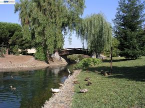 2500 Copa Del Oro Dr, Union City CA 94587