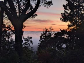 1170 Sterling Ave, Berkeley CA 94708