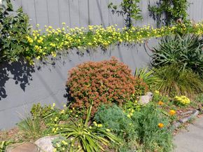 3477 Boston Ave 4, Oakland CA 94602