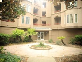 280 Caldecott LN 202, Oakland CA 94618