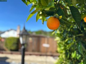 314 Semillon Cir, Clayton CA 94517