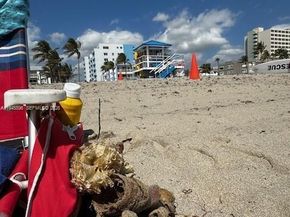 320 S Surf Rd 305, Hollywood FL 33019