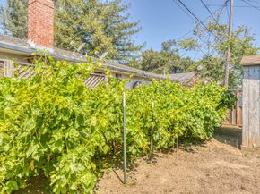 7841 Rosanna Street, Gilroy CA 95020