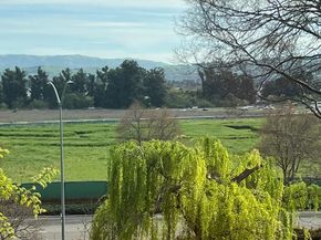 554 Dovecote Lane 2, Livermore CA 94551