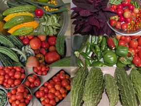 450 Stratford Park Court, San Jose CA 95136