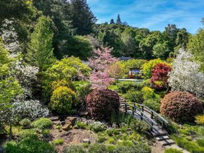 160 Phillip Road, Woodside CA 94062