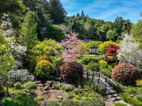 160 Phillip Road, Woodside CA 94062