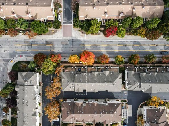 557 Montego Terrace, Sunnyvale CA 94089