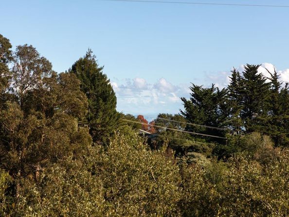 229 Alamo Avenue, Santa Cruz CA 95060