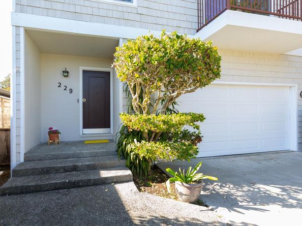 229 Alamo Avenue, Santa Cruz CA 95060