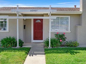 35907 Orleans Drive, Newark CA 94560