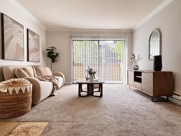 738 Teatree Court, San Jose CA 95128