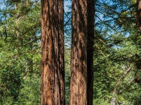 12 Summit Road, Woodside CA 94062