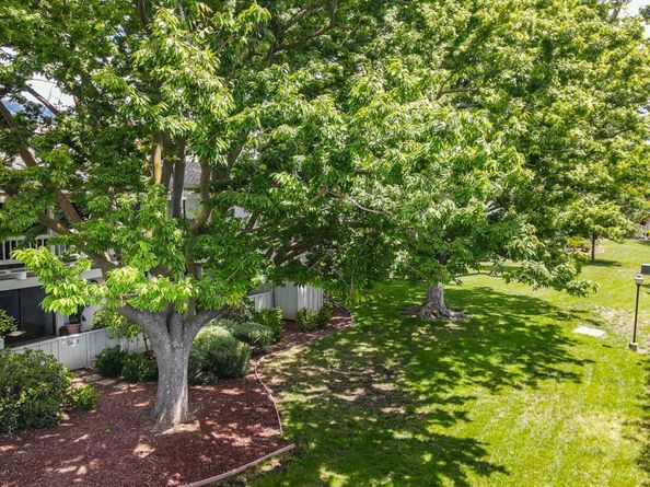 5408 Cribari Court, San Jose CA 95135