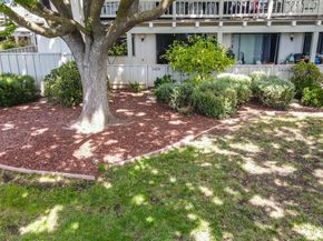 5408 Cribari Court, San Jose CA 95135