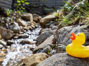 11 Hawk View, Portola Valley CA 94028