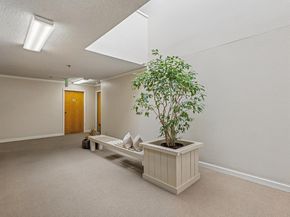 1115 Continentals Way 203, Belmont CA 94002