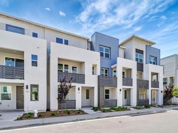3005 Ivory Terrace