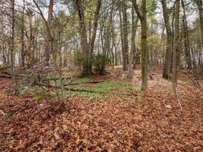 6 Janice Lane, Stoneham MA 02180