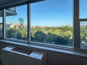 151 Tremont St 11G, Boston MA 02111