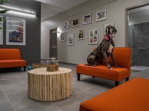 240 Devonshire Street 5011, Boston MA 02110