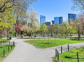 19 Arlington Street 53, Boston MA 02116