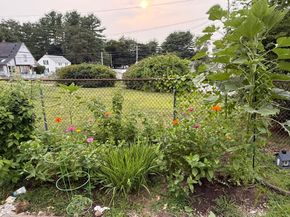 13 Harwood St, Oxford MA 01540