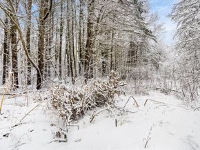 750 Teel Rd, Winchendon MA 01475