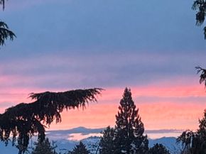 6016 44th Avenue SW, Seattle WA 98136