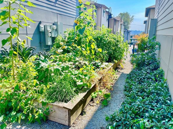 4910 S Willow Street B, Seattle WA 98118