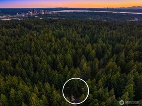 12741 NE 39th Street, Bellevue WA 98005
