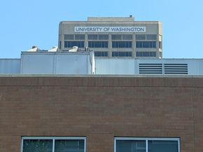 4343 Roosevelt Way NE 508, Seattle WA 98105