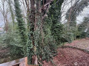 9624 Renton Avenue S A, Seattle WA 98118