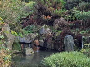 9728 57th Avenue S A, Seattle WA 98118