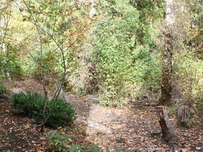 538 241st Lane SE, Sammamish WA 98074