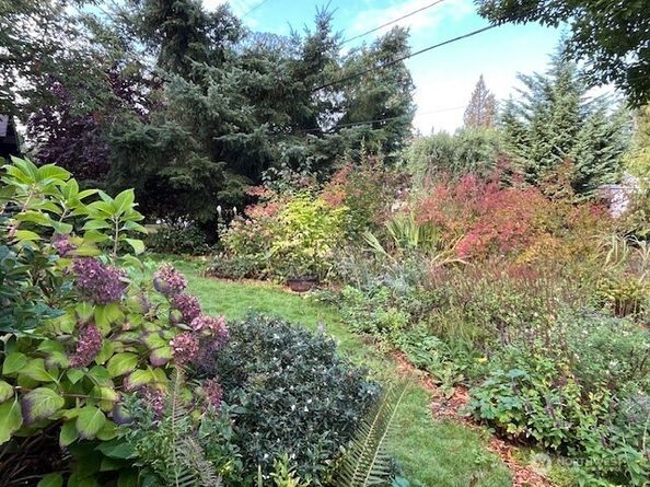 16603 SE 16th Street, Bellevue WA 98008