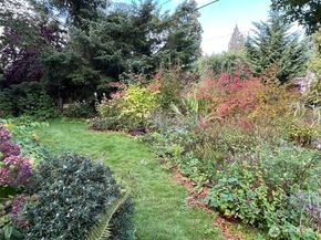 16603 SE 16th Street, Bellevue WA 98008
