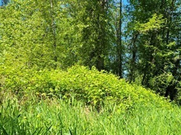 825 99th Avenue SE, Lake Stevens WA 98258