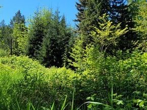 825 99th Avenue SE, Lake Stevens WA 98258