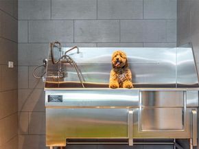 1747  Leonard Street  2201, Dallas Texas 75201