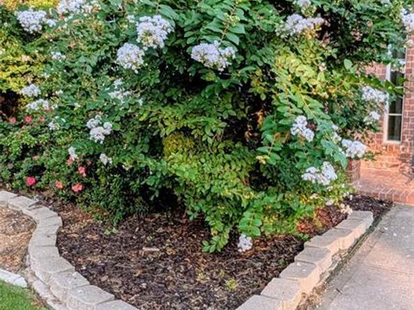 5817  Norfolk Lane , Frisco Texas 75035