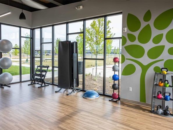 7201  Windy Meadow Drive , Little Elm Texas 76227